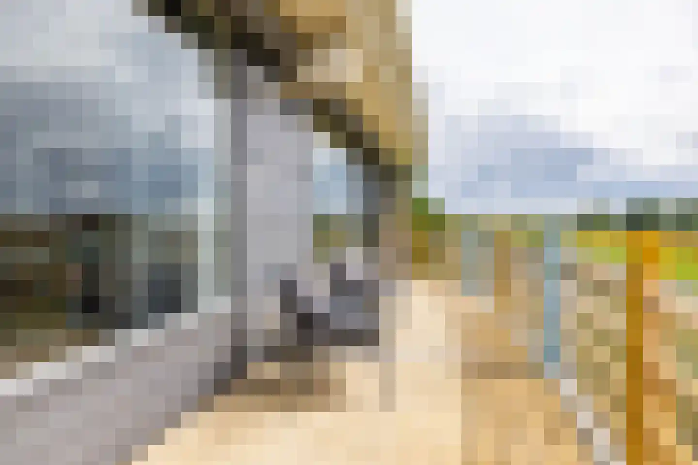 Breedeborg 14 Groningen thumbnail 16