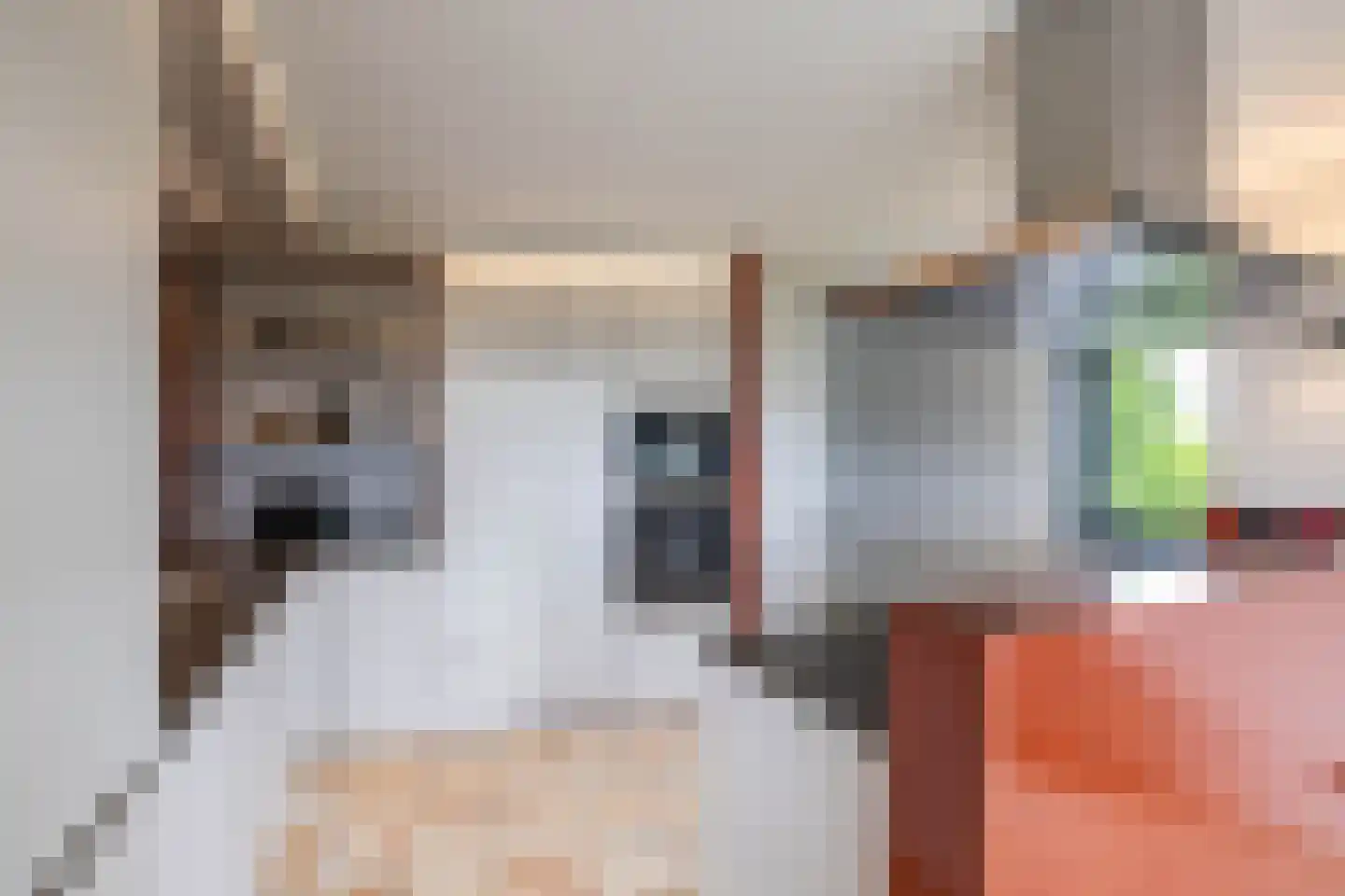 Breedeborg 14 Groningen thumbnail 18