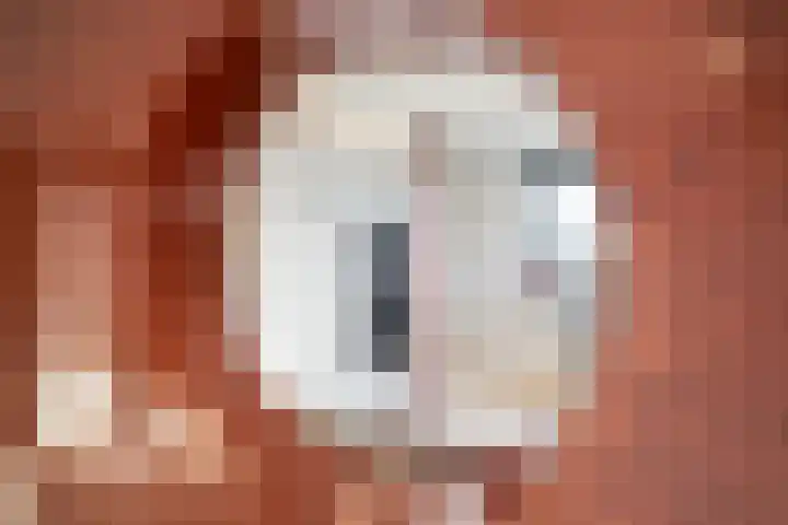 Breedeborg 14 Groningen thumbnail 20