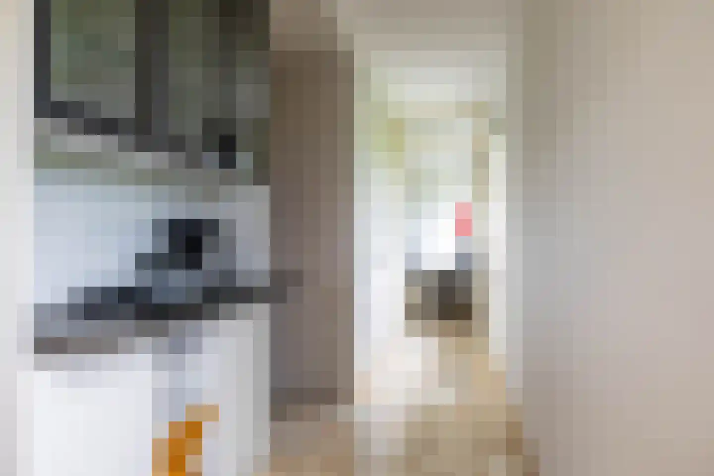 Breedeborg 14 Groningen thumbnail 21