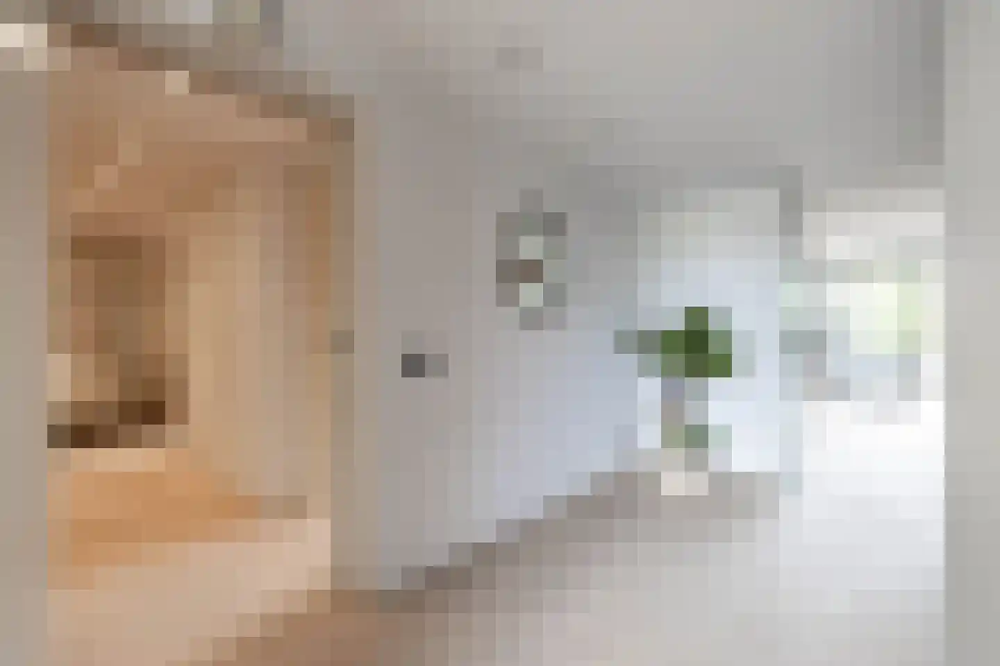 Breedeborg 14 Groningen thumbnail 28