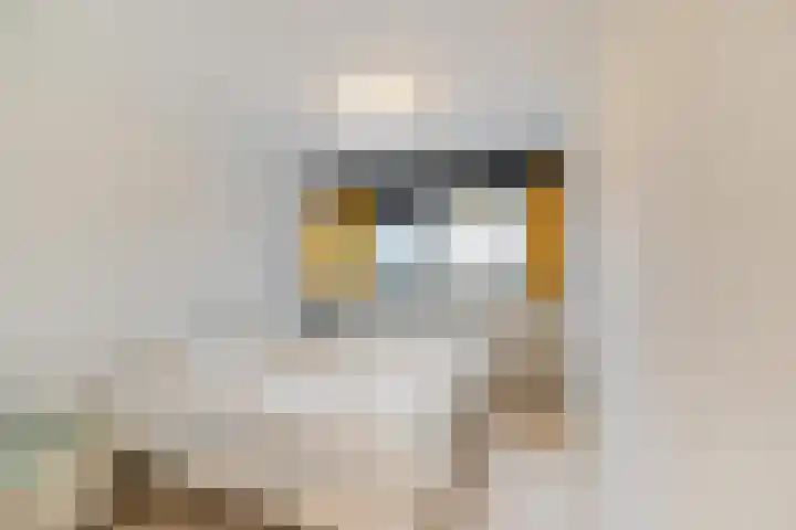 Breedeborg 14 Groningen thumbnail 28