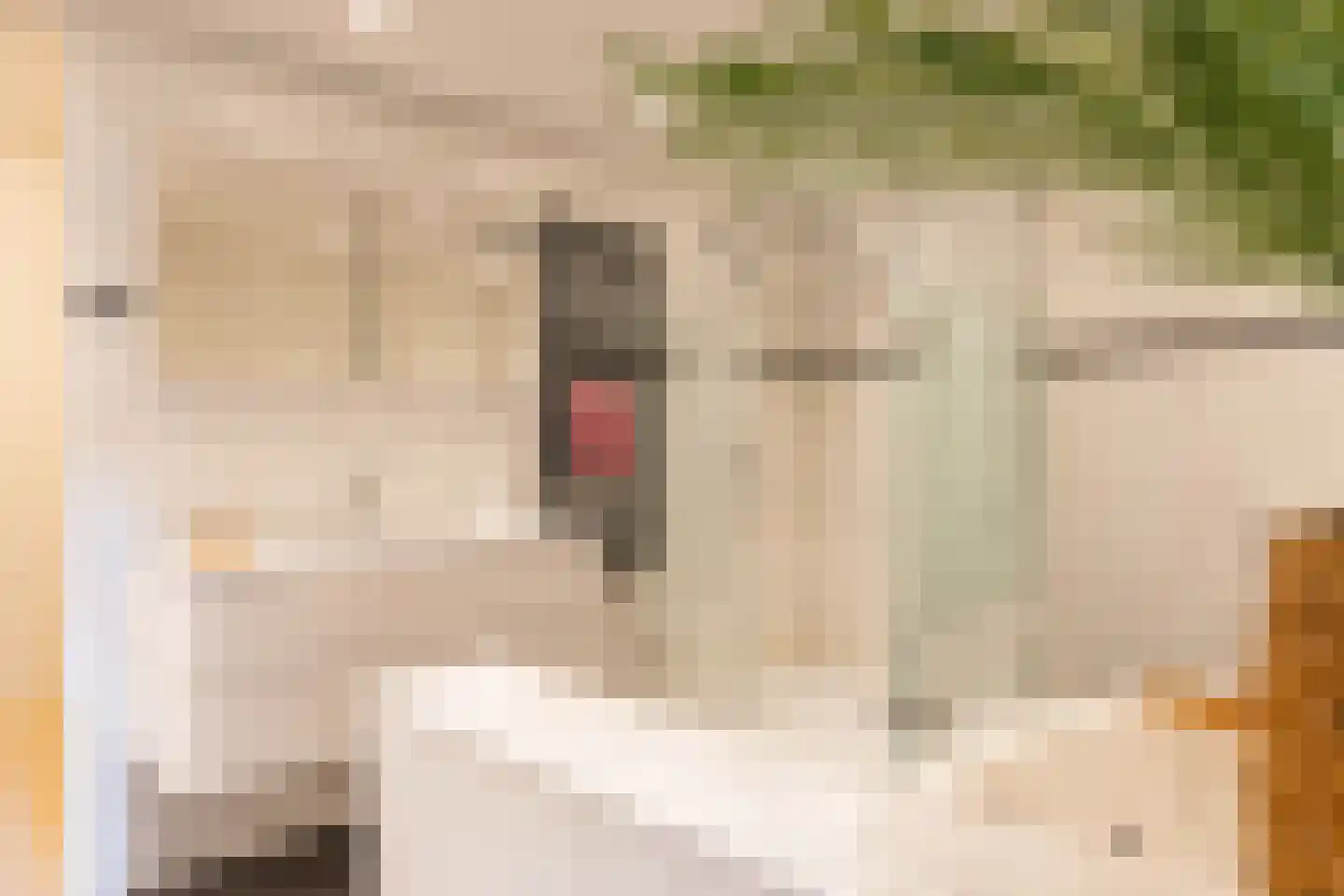 Breedeborg 14 Groningen thumbnail 30