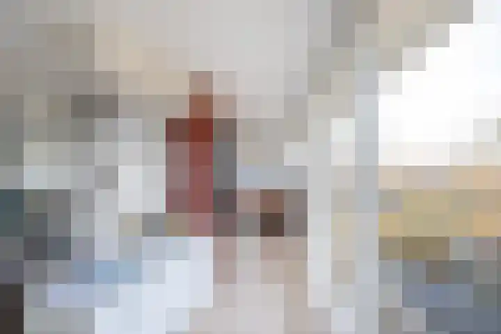 Breedeborg 14 Groningen thumbnail 32