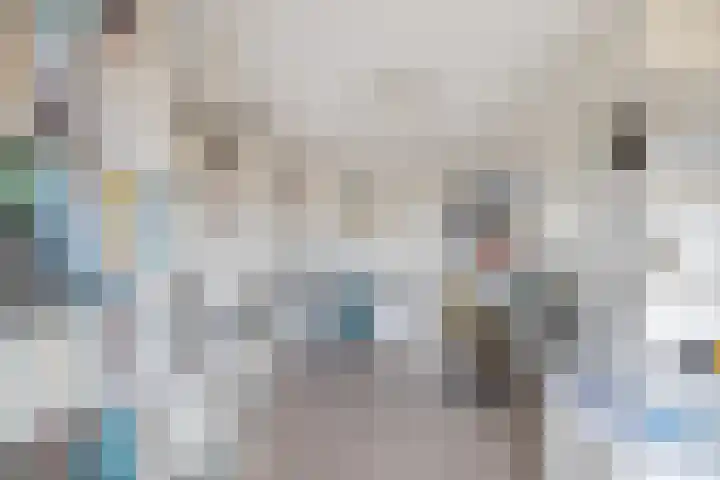 Breedeborg 14 Groningen thumbnail 33