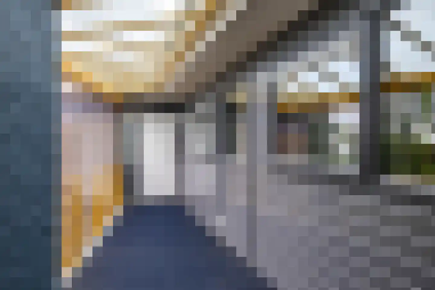 Breedeborg 14 Groningen thumbnail 5