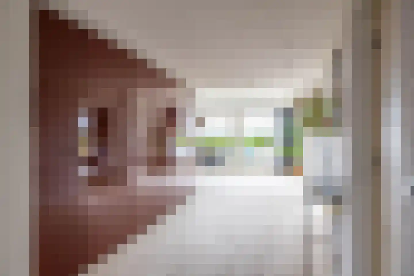 Breedeborg 14 Groningen thumbnail 7