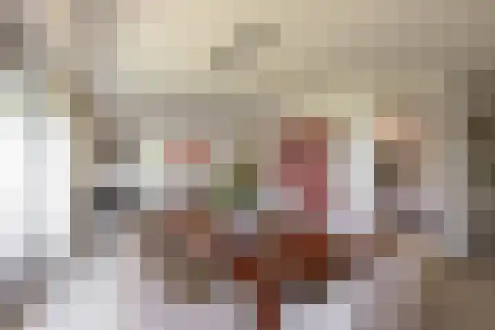 Breedeborg 4 Groningen thumbnail 14