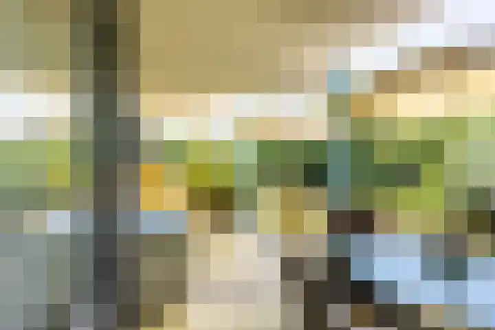 Breedeborg 4 Groningen thumbnail 16