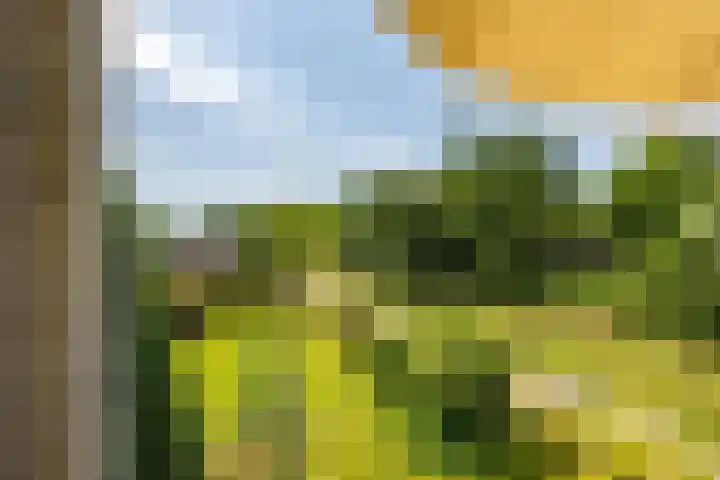 Breedeborg 4 Groningen thumbnail 17