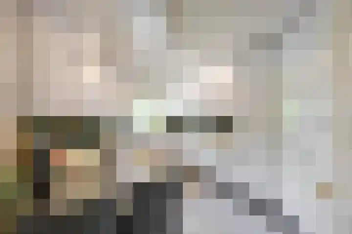 Breedeborg 4 Groningen thumbnail 18