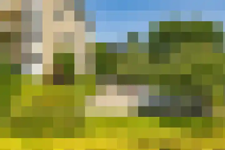 Breedeborg 4 Groningen thumbnail 39