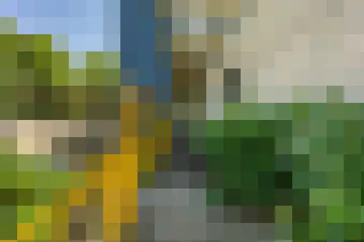 Breedeborg 4 Groningen thumbnail 4