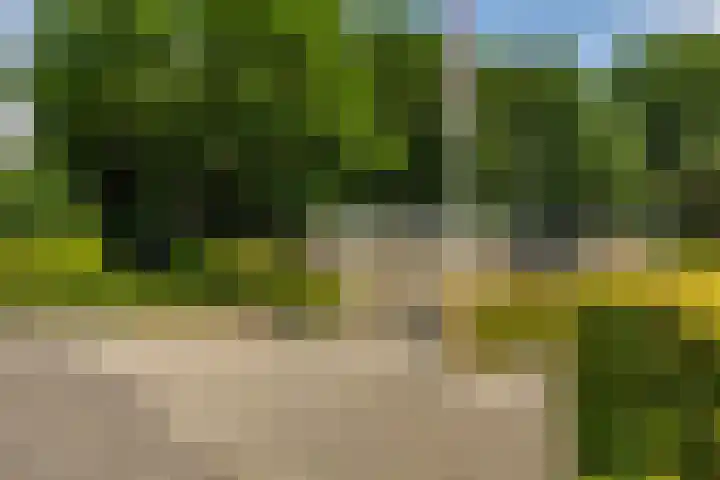 Breedeborg 4 Groningen thumbnail 40