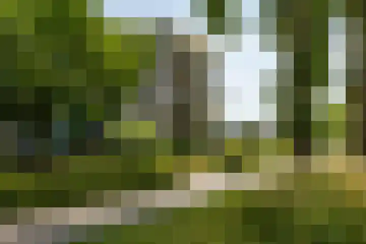 Breedeborg 4 Groningen thumbnail 44