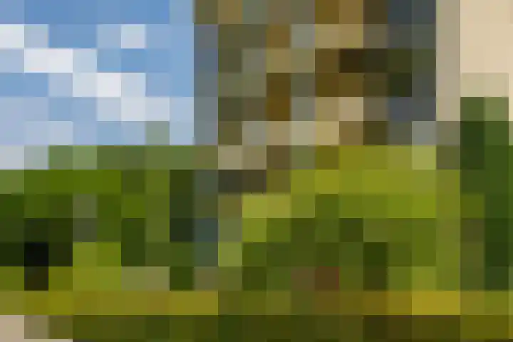 Breedeborg 4 Groningen thumbnail 45