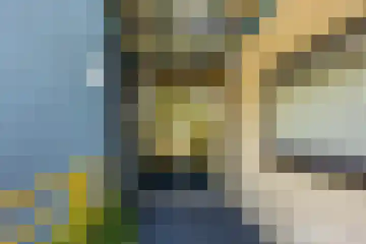 Breedeborg 4 Groningen thumbnail 5
