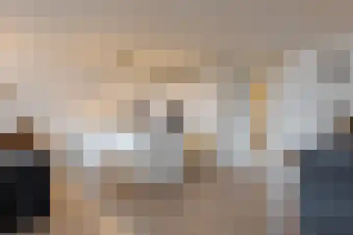 Breedeborg 5 Groningen thumbnail 18