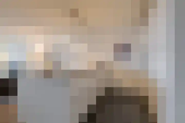 Breedeborg 5 Groningen thumbnail 20