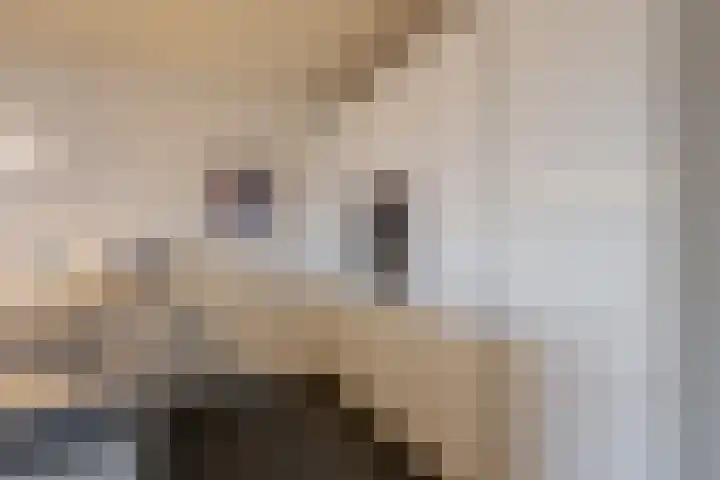 Breedeborg 5 Groningen thumbnail 21