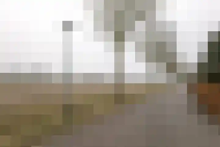 Breedeborg 5 Groningen thumbnail 43