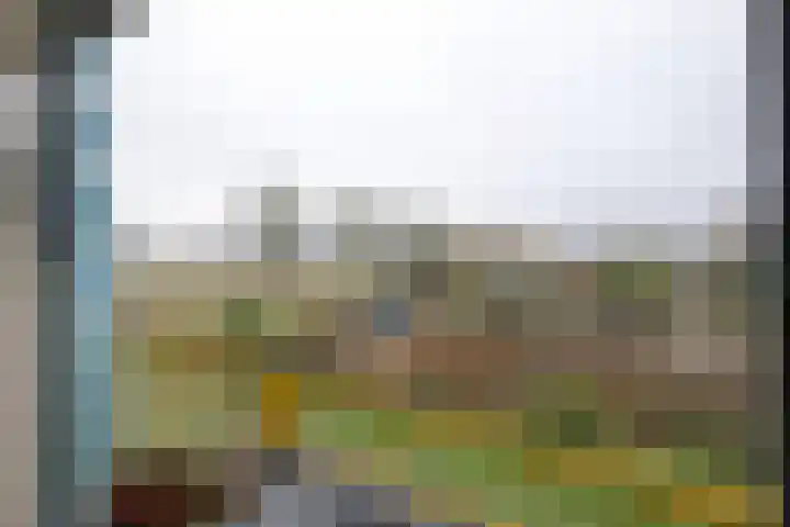 Breedeborg 5 Groningen thumbnail 5