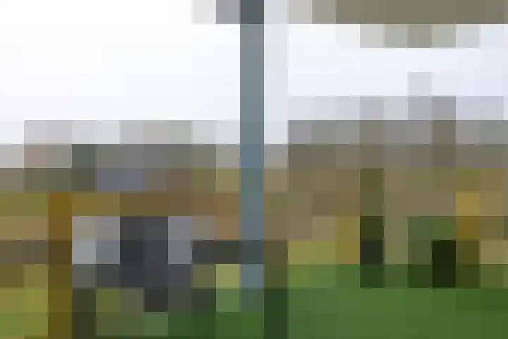 Breedeborg 5 Groningen thumbnail 6