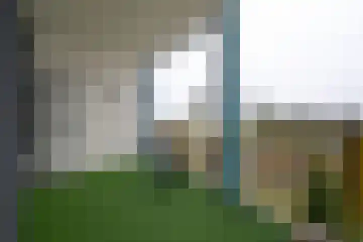 Breedeborg 5 Groningen thumbnail 7