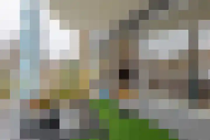 Breedeborg 5 Groningen thumbnail 8