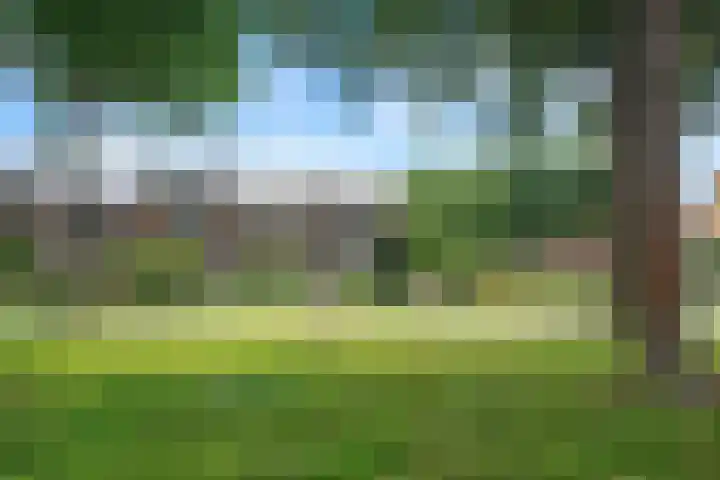 Breedelaan 125 Heiloo thumbnail 4