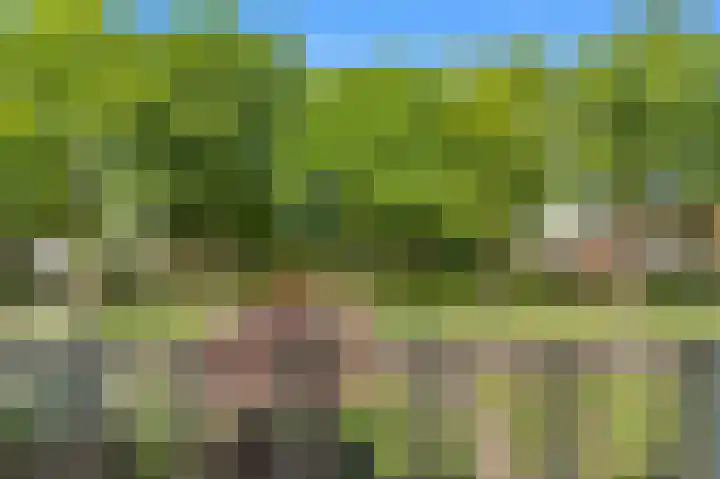 Breedelaan 137 Heiloo thumbnail 12