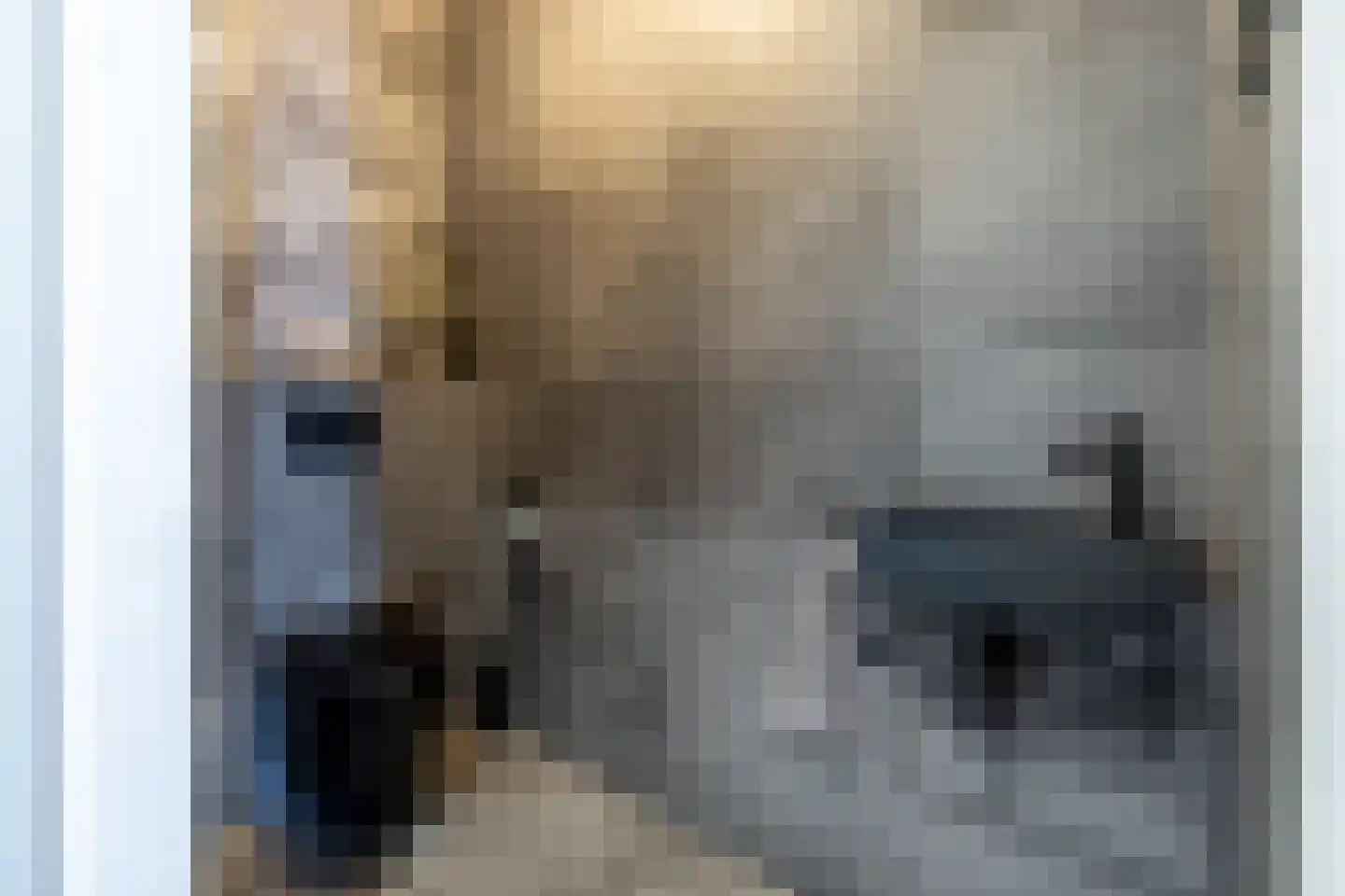 Breedenbroekseweg 3 Voorst thumbnail 35
