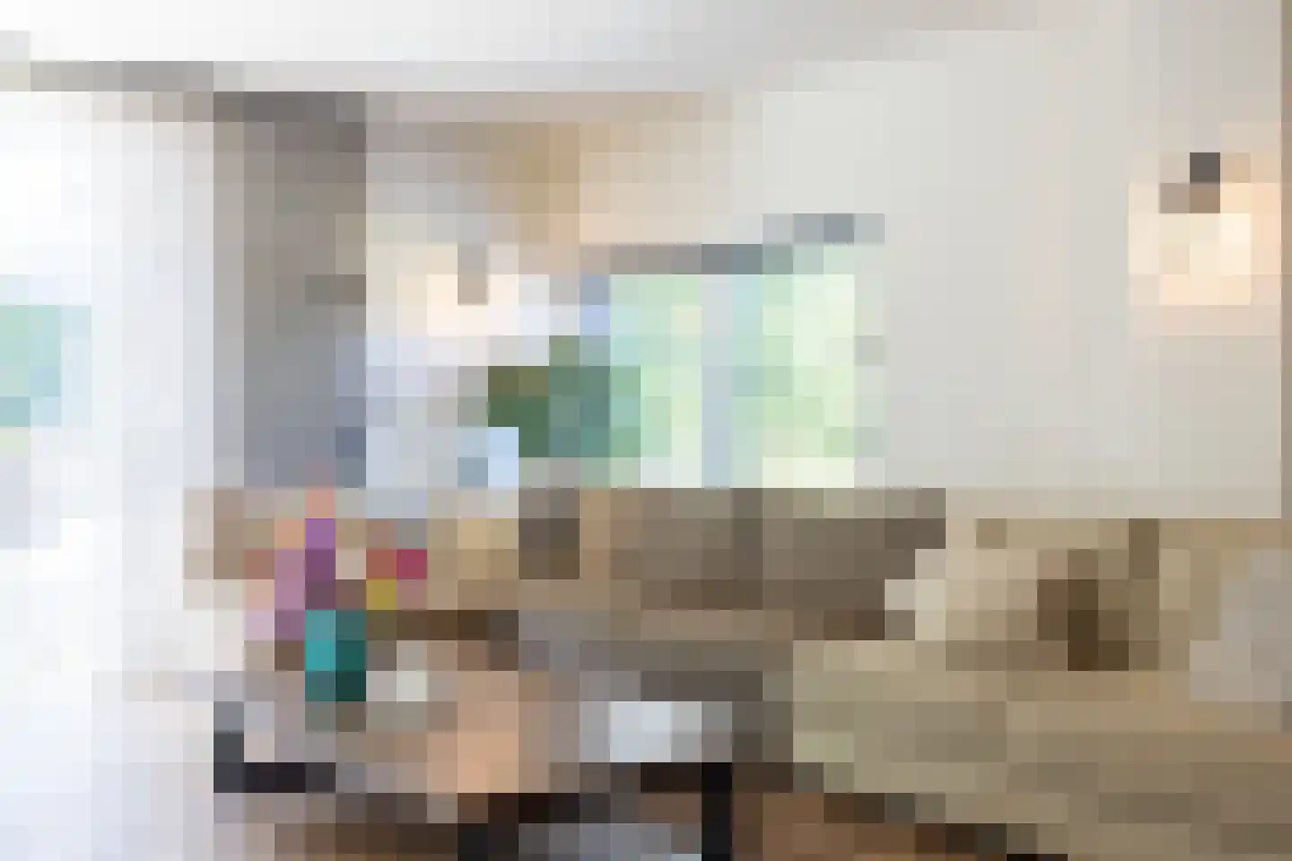 Breedenbroekseweg 3 Voorst thumbnail 4