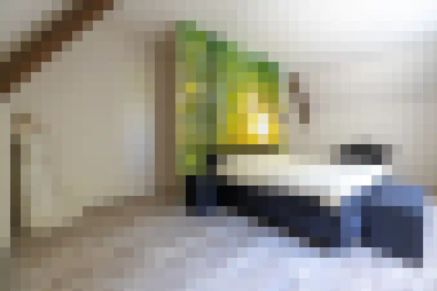 Breedenbroekseweg 3 Voorst thumbnail 42