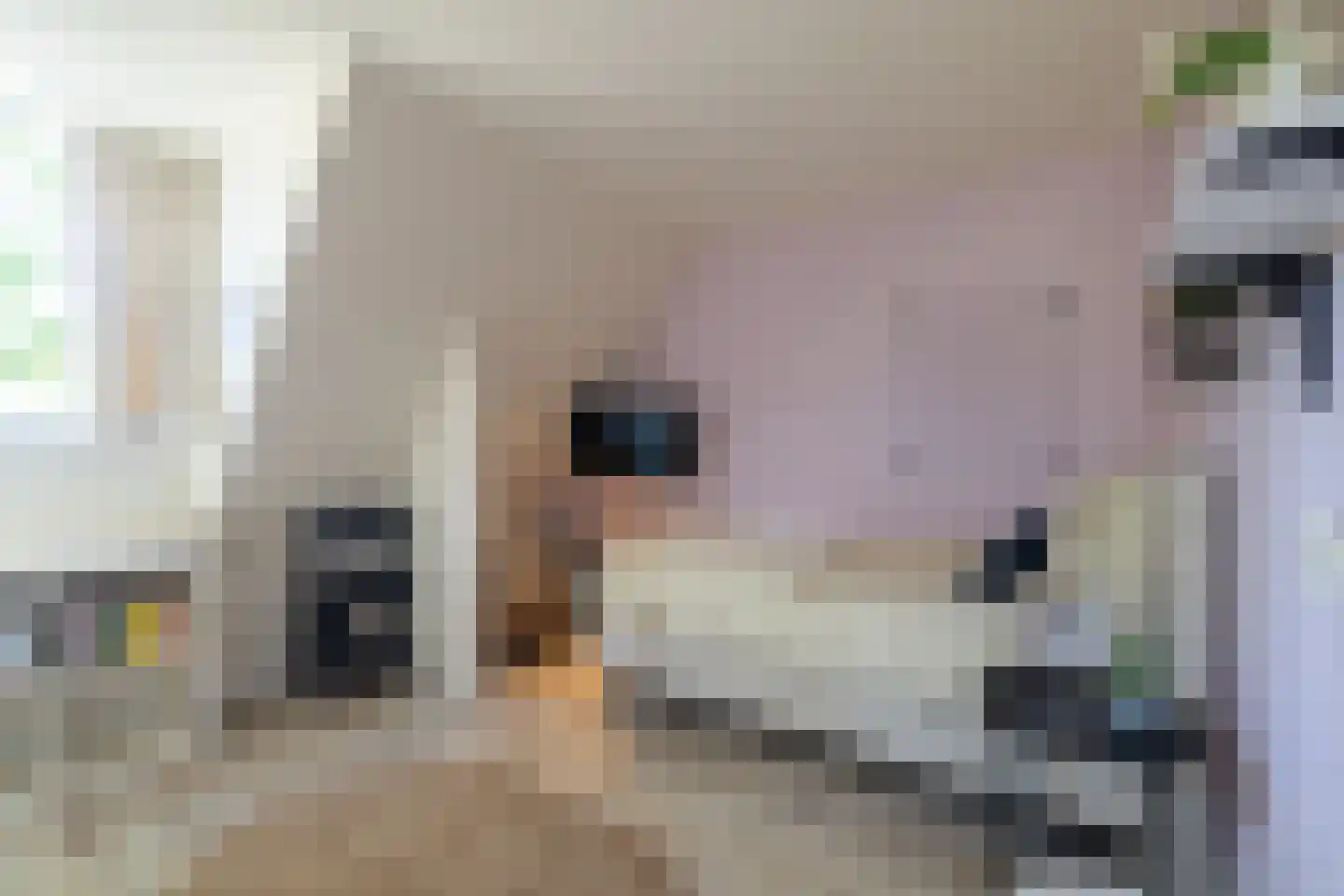 Breedenbroekseweg 3 Voorst thumbnail 50