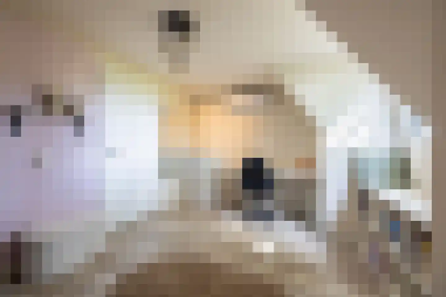 Breedenbroekseweg 3 Voorst thumbnail 51