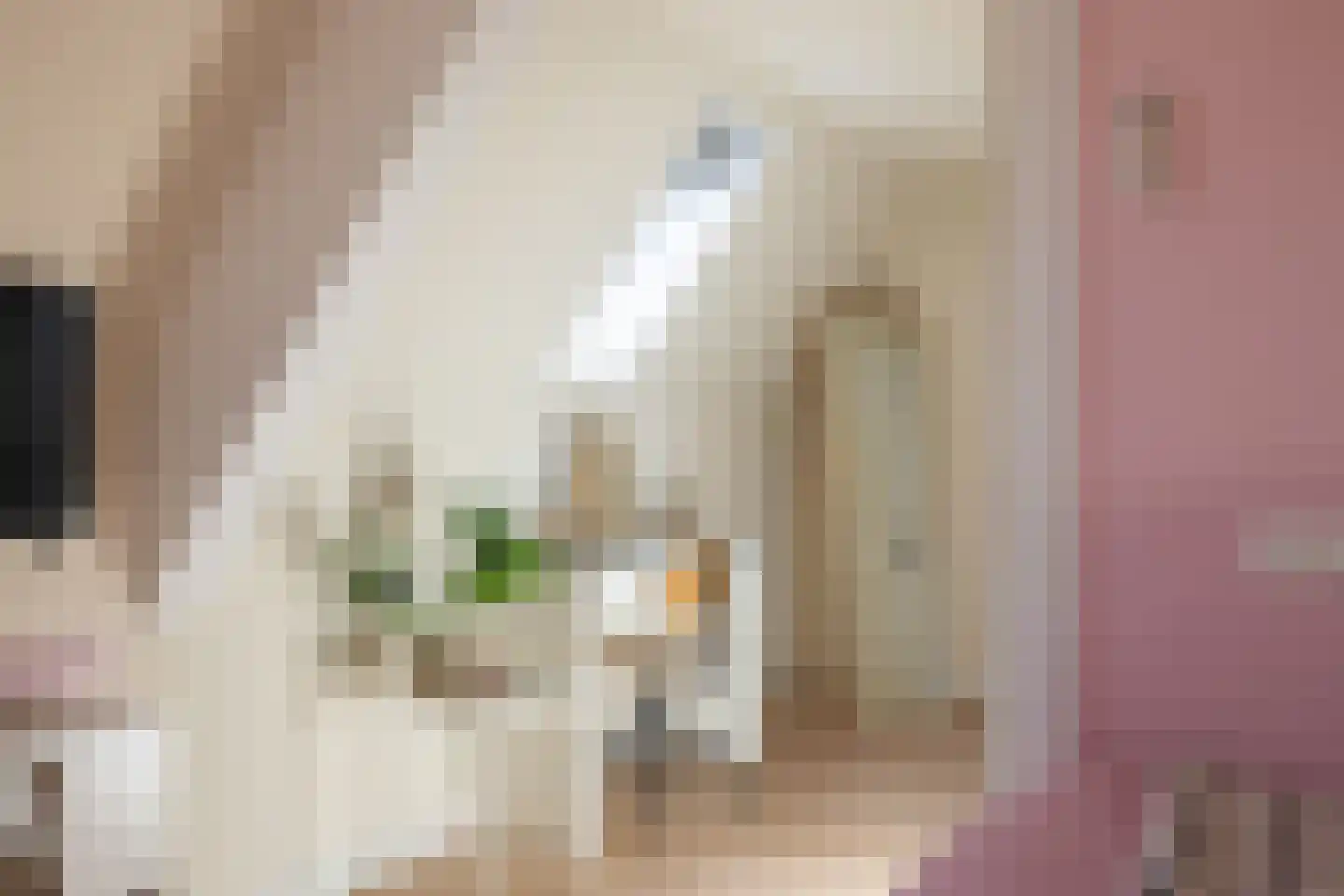 Breedenbroekseweg 3 Voorst thumbnail 59