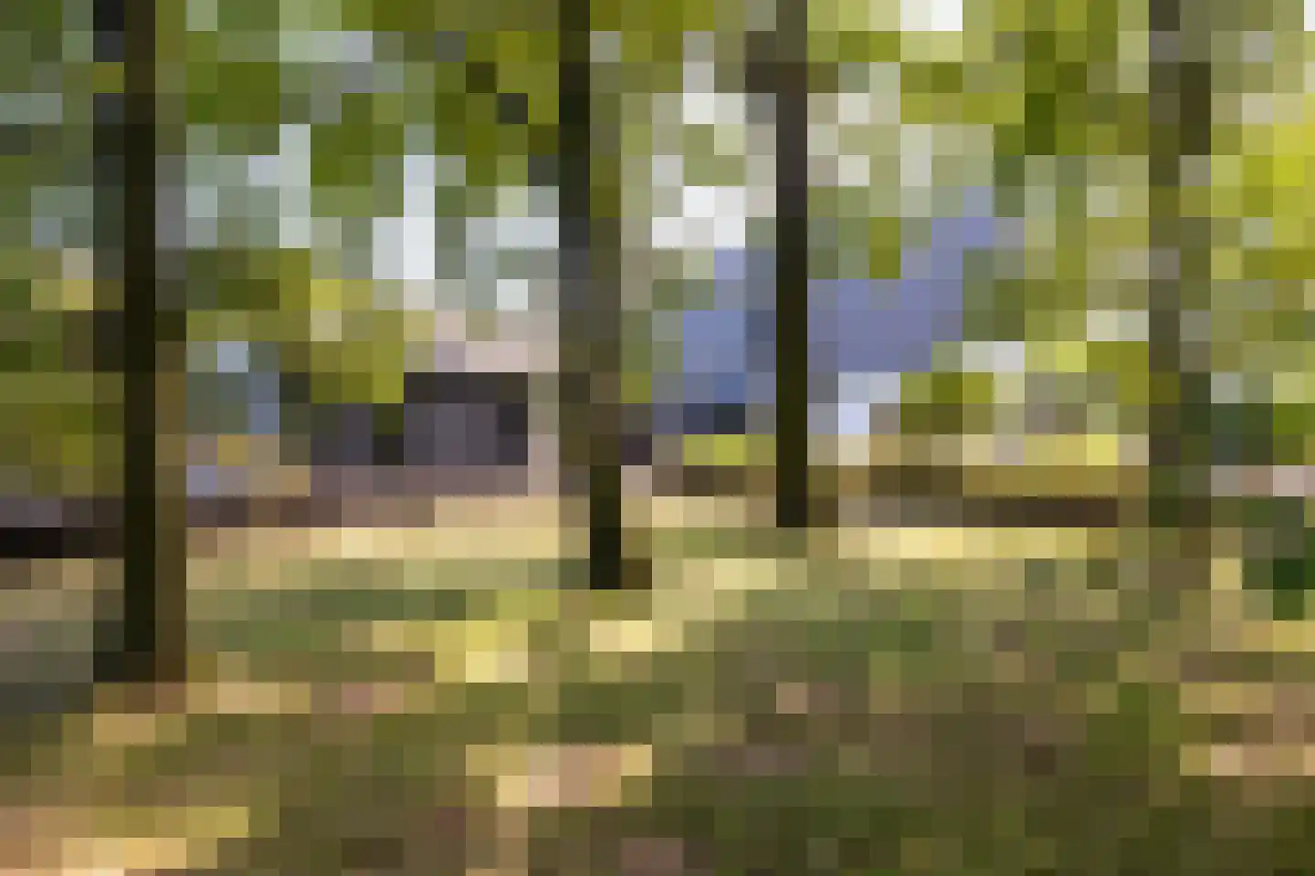 Breedenbroekseweg 3 Voorst thumbnail 71