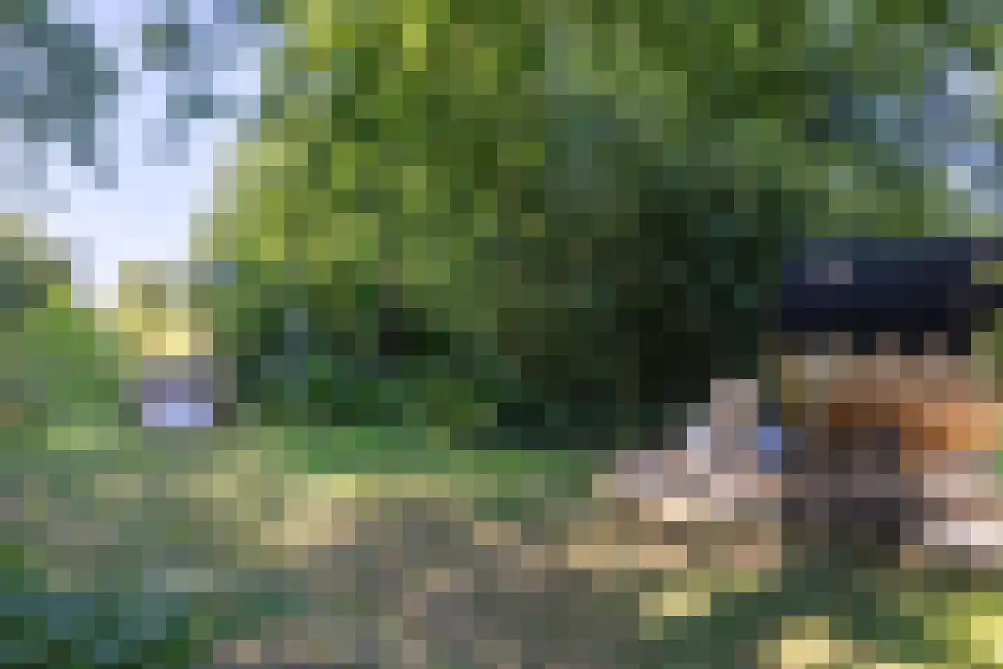 Breedenbroekseweg 3 Voorst thumbnail 72