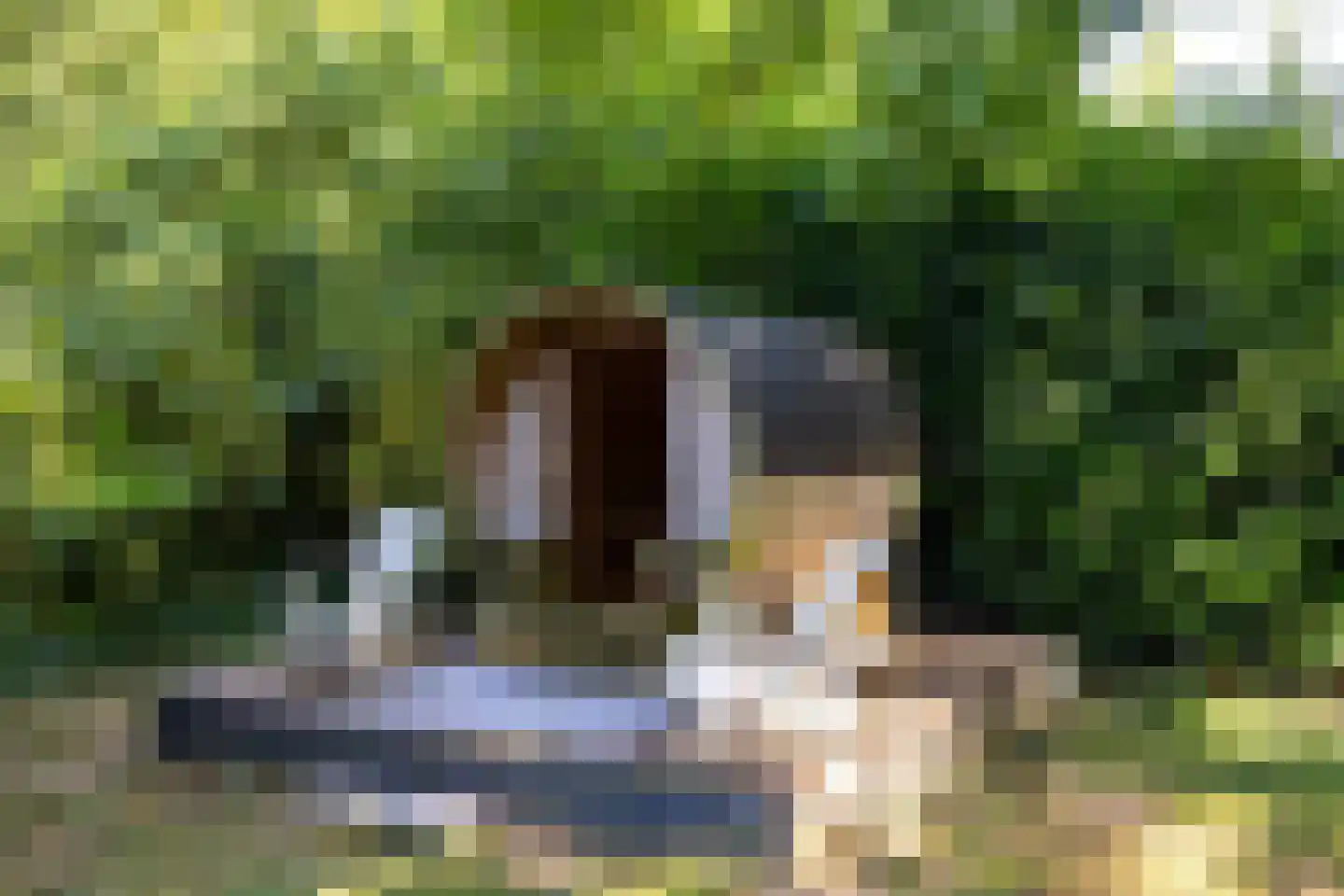 Breedenbroekseweg 3 Voorst thumbnail 73