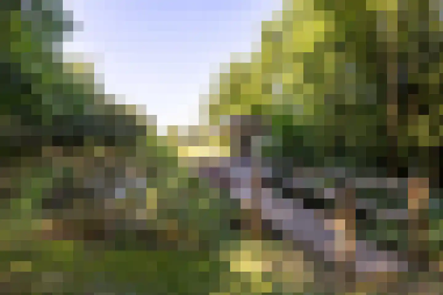 Breedenbroekseweg 3 Voorst thumbnail 74