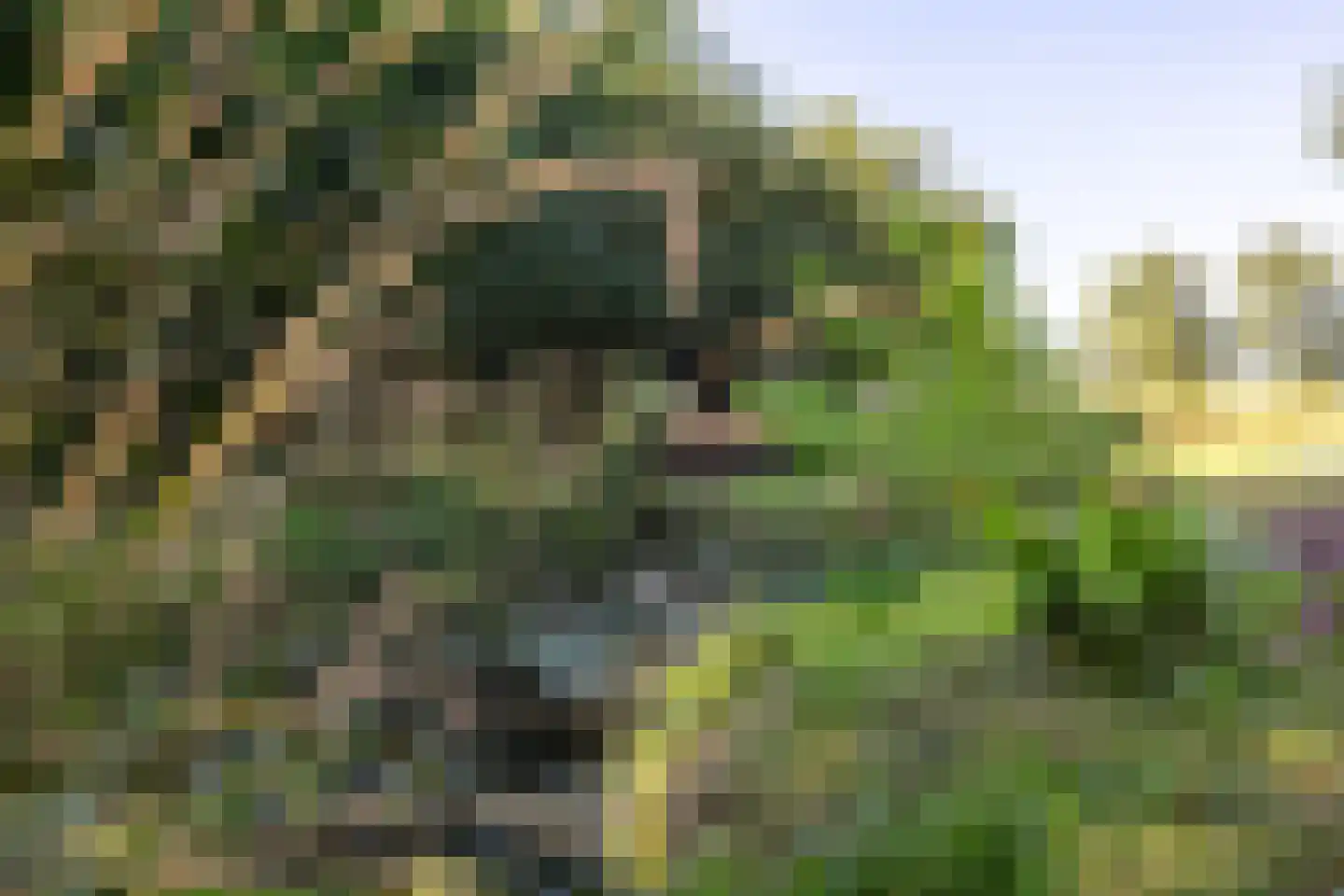 Breedenbroekseweg 3 Voorst thumbnail 75