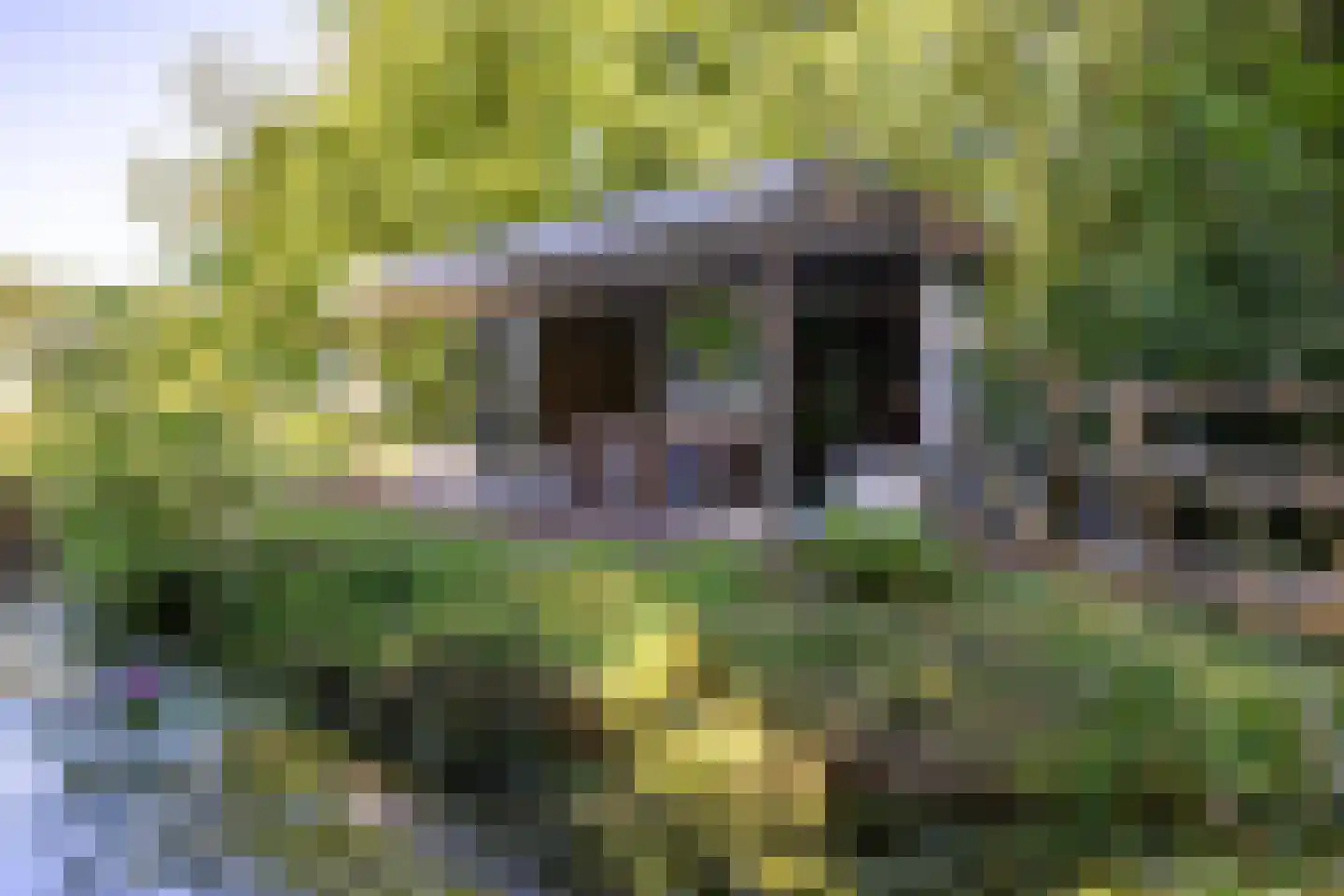 Breedenbroekseweg 3 Voorst thumbnail 76