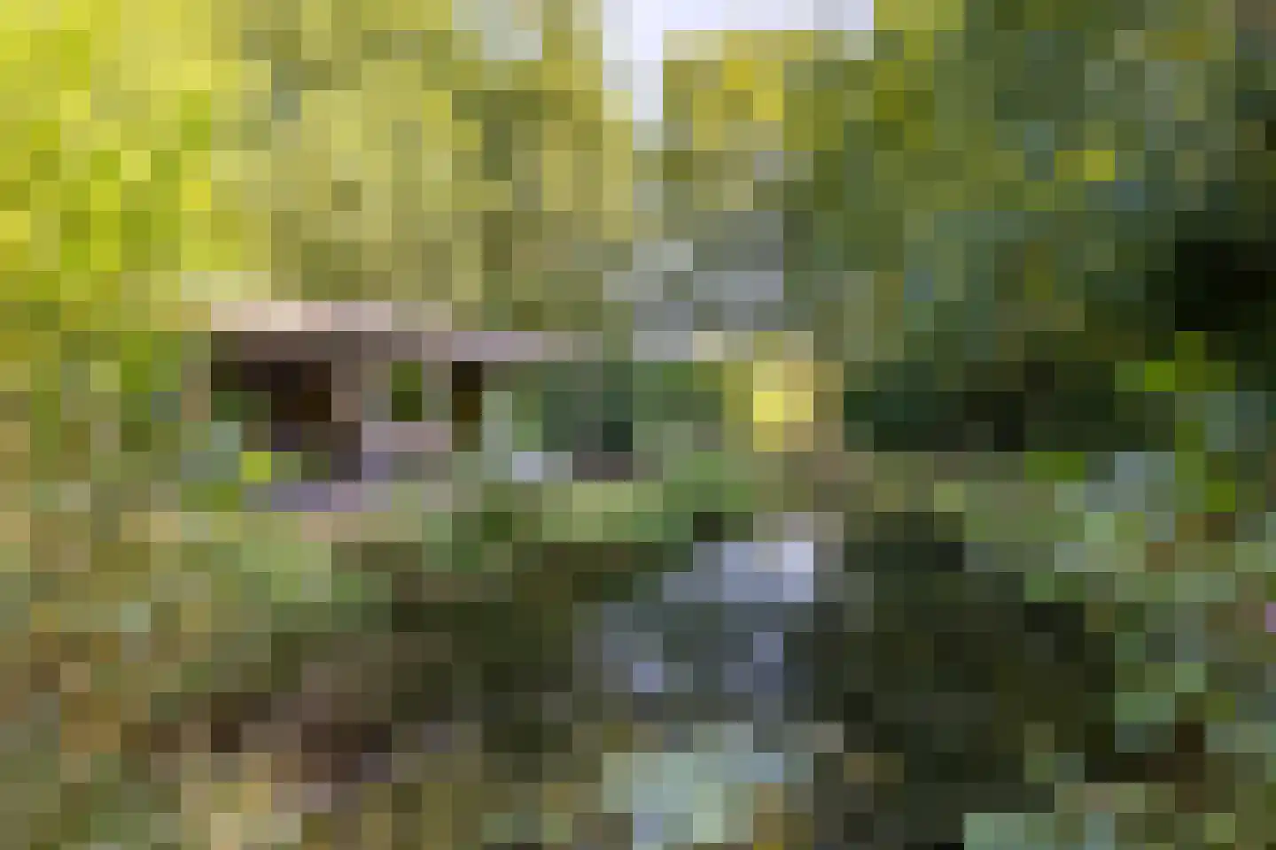 Breedenbroekseweg 3 Voorst thumbnail 78