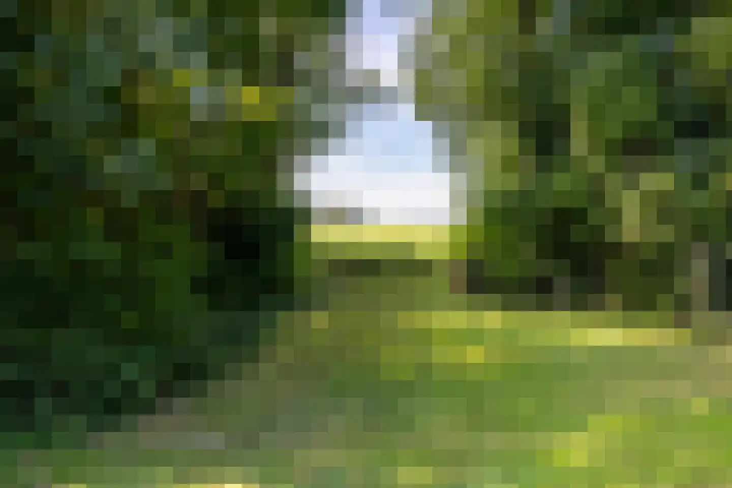Breedenbroekseweg 3 Voorst thumbnail 8