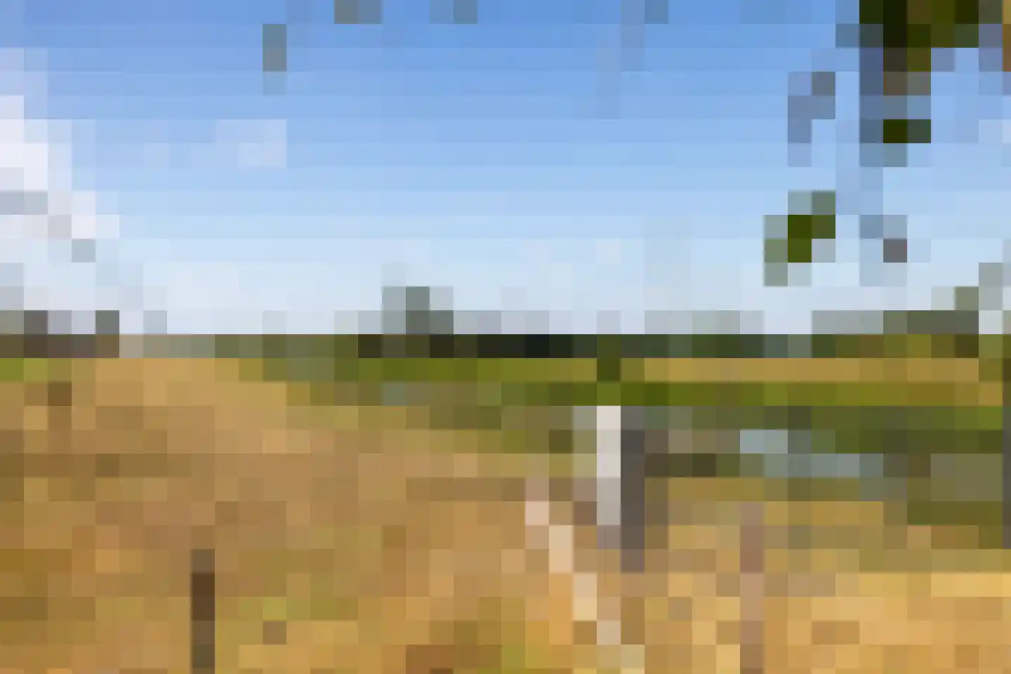 Breedenbroekseweg 3 Voorst thumbnail 82