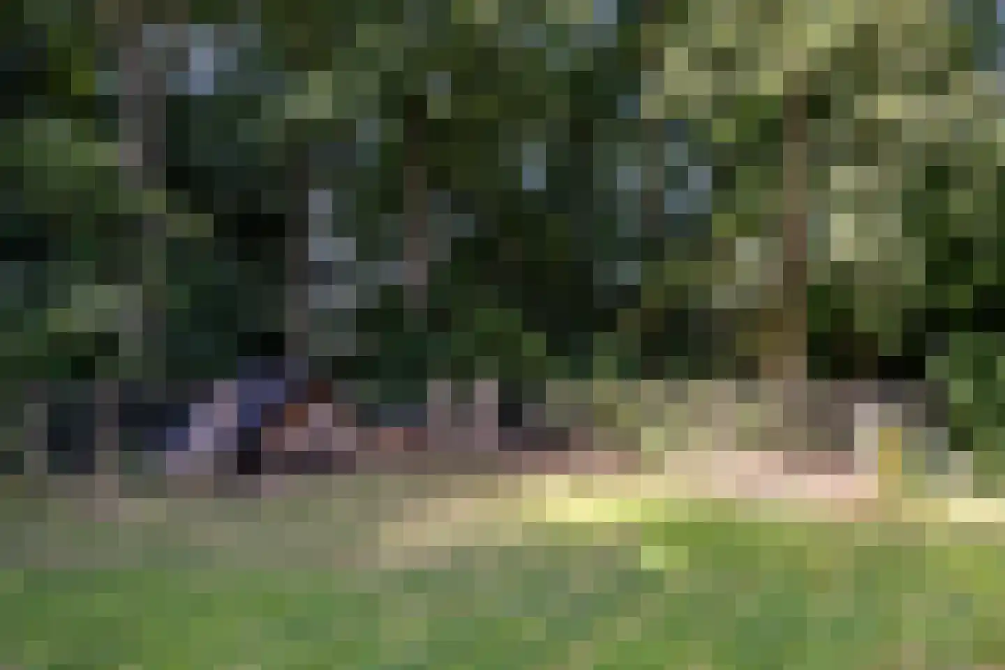 Breedenbroekseweg 3 Voorst thumbnail 85