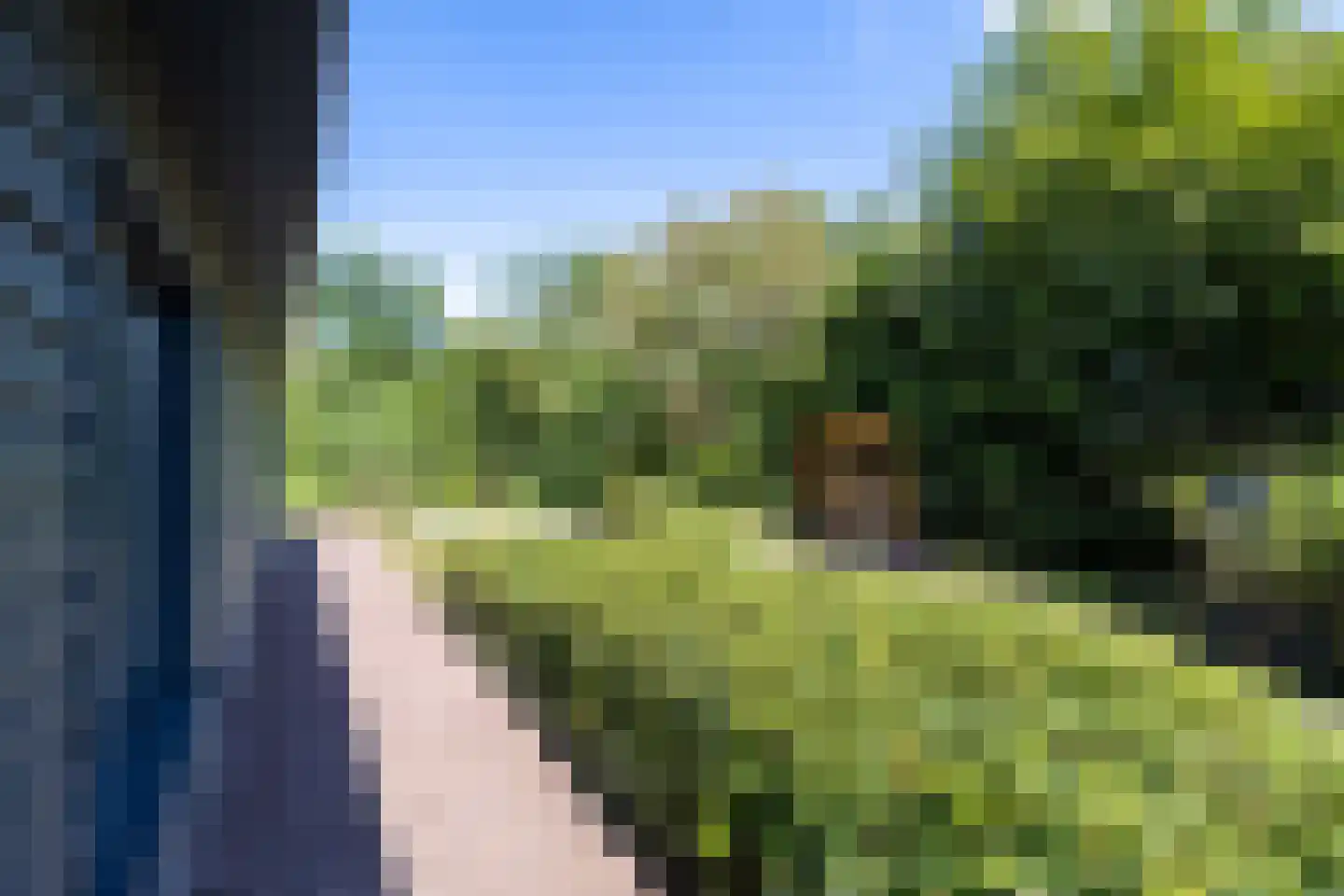 Breedenbroekseweg 3 Voorst thumbnail 88