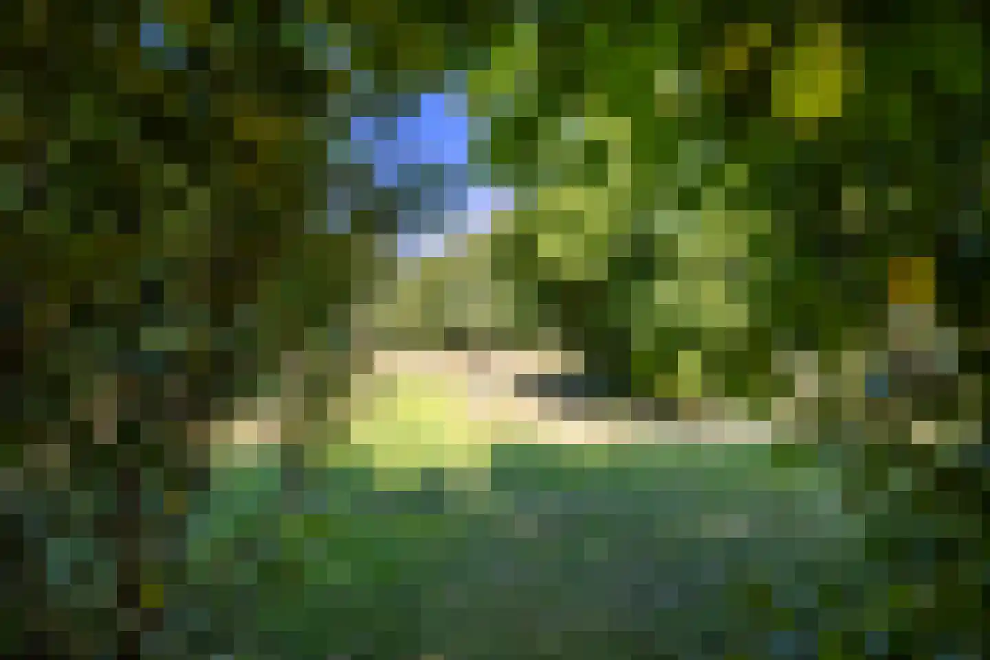 Breedenbroekseweg 3 Voorst thumbnail 89