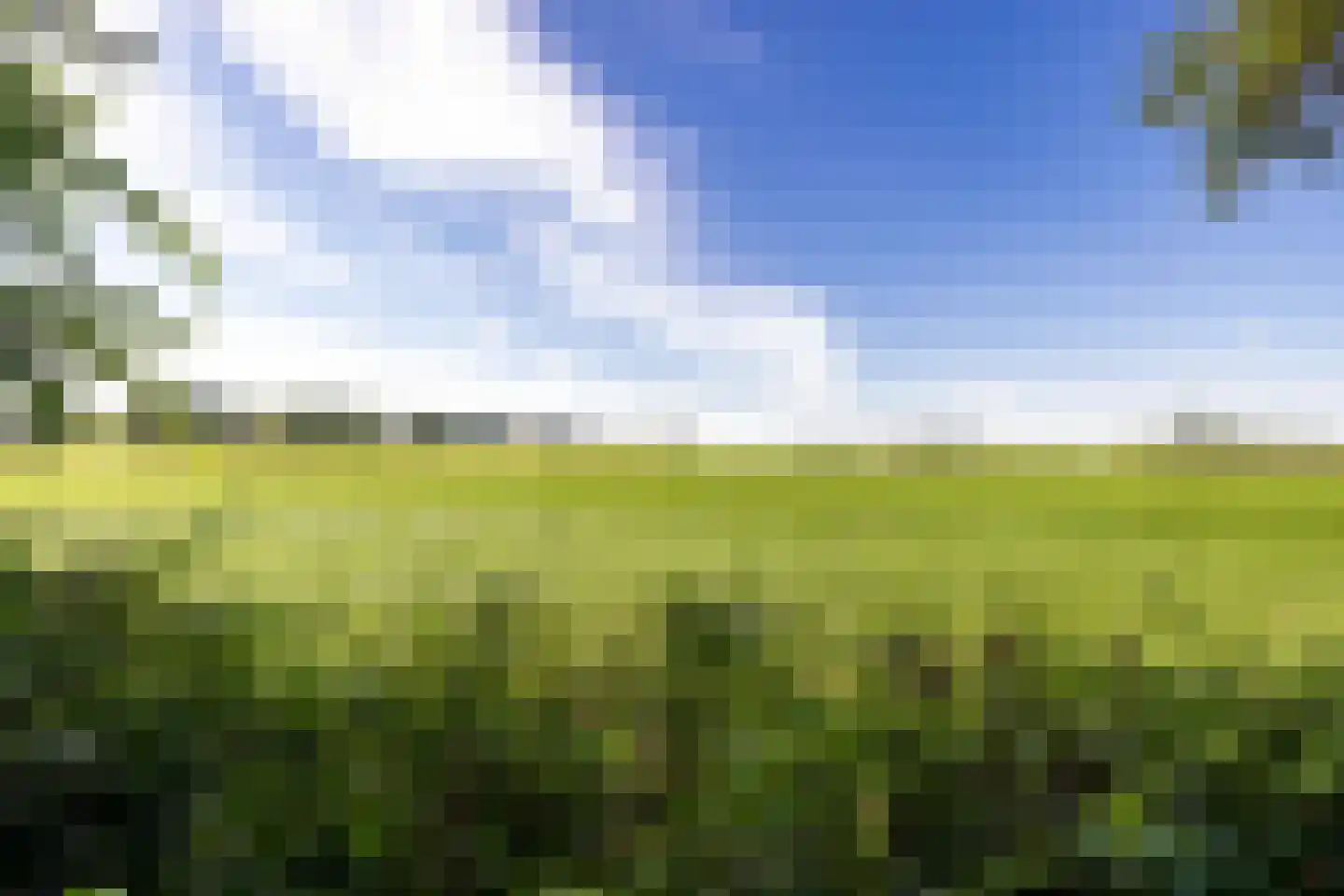 Breedenbroekseweg 3 Voorst thumbnail 9
